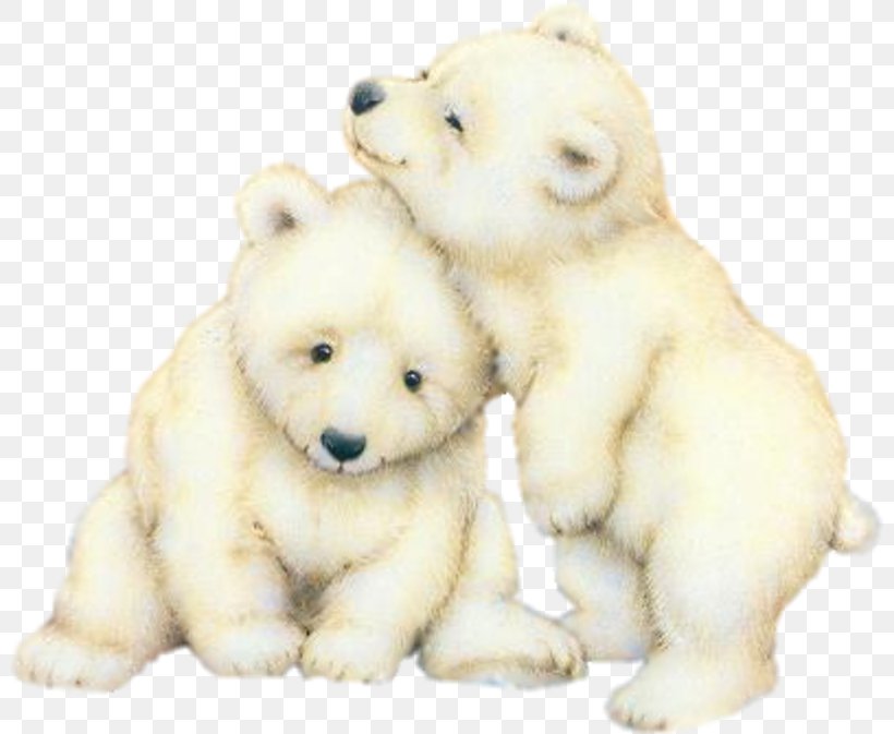 Polar Bear Cubs Giant Panda Brown Bear, PNG, 800x673px, Watercolor, Cartoon, Flower, Frame, Heart Download Free