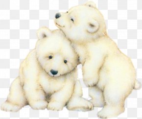 Polar Bear Cubs Images Polar Bear Cubs Transparent Png Free Download