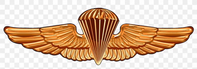United States Naval Academy Parachutist Badge Special Warfare Insignia United States Navy SEALs United States Army Airborne School, PNG, 1248x436px, United States Naval Academy, Airborne Forces, Body Jewelry, College, Jewellery Download Free