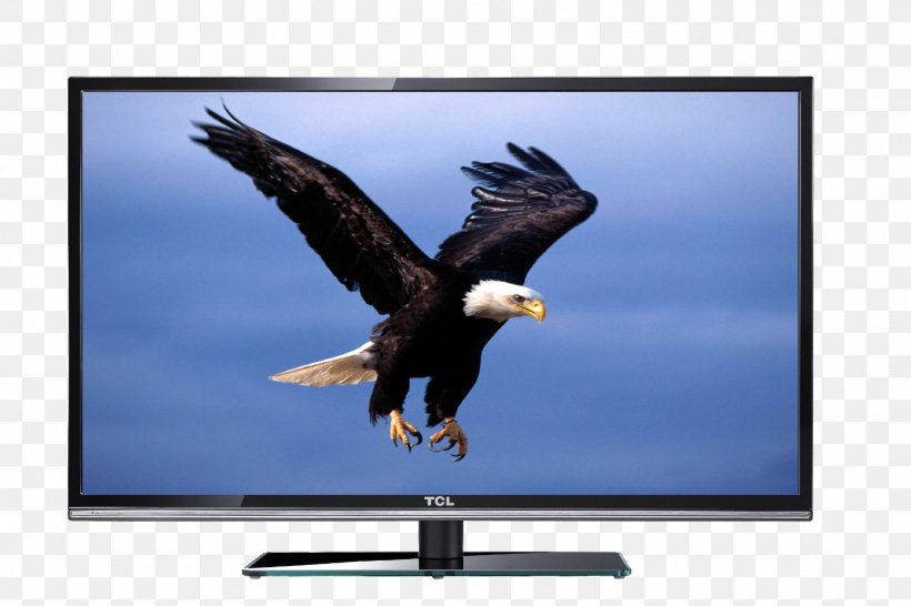 Bald Eagle Desktop Computer Wallpaper, PNG, 1500x1000px, 4k Resolution, Eagle, Accipitridae, Accipitriformes, Advertising Download Free