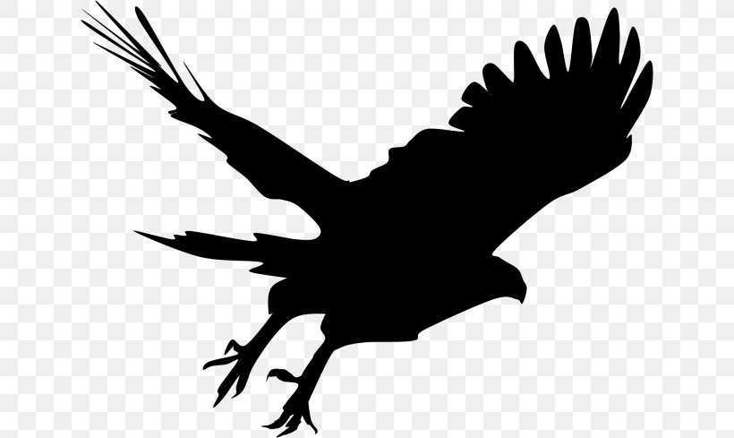 Bald Eagle Silhouette Hawk Clip Art, PNG, 640x489px, Bald Eagle, Accipiter, Beak, Bird, Bird Of Prey Download Free