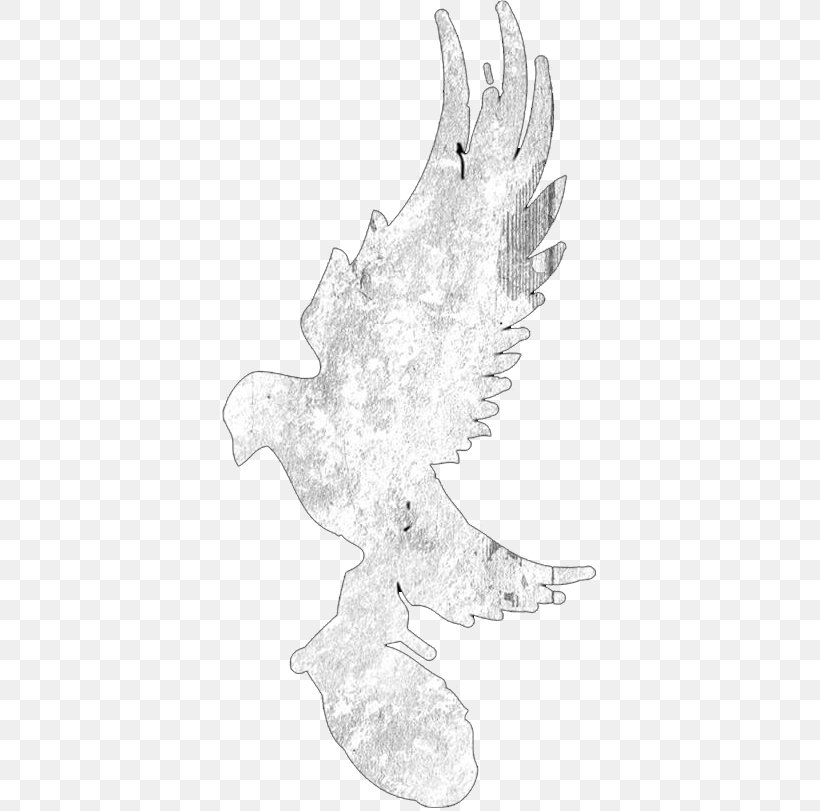 Chicken Bird Anatidae Cygnini Sketch, PNG, 380x811px, Chicken, Anatidae, Art, Artwork, Beak Download Free