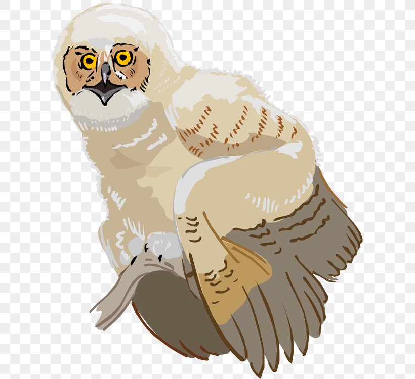 Owl Beak Clip Art, PNG, 615x750px, Owl, Animal, Beak, Bird, Bird Of Prey Download Free