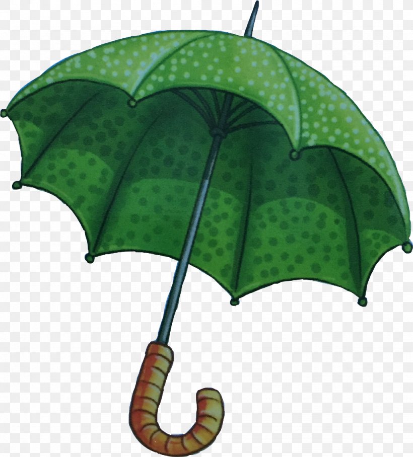 Green Leaf Background, PNG, 1024x1134px, Umbrella, Green, Leaf, Plant, Tree Download Free