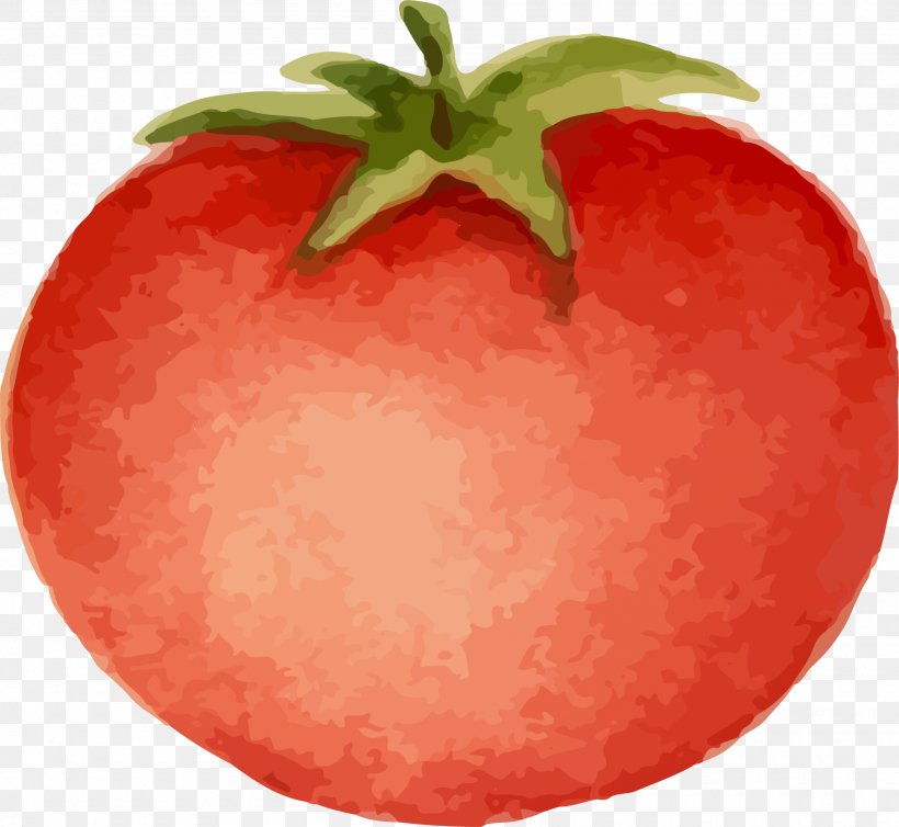 Tomato Cartoon Download Animation, PNG, 2000x1840px, Tomato, Animation, Apple, Cartoon, Diet Food Download Free