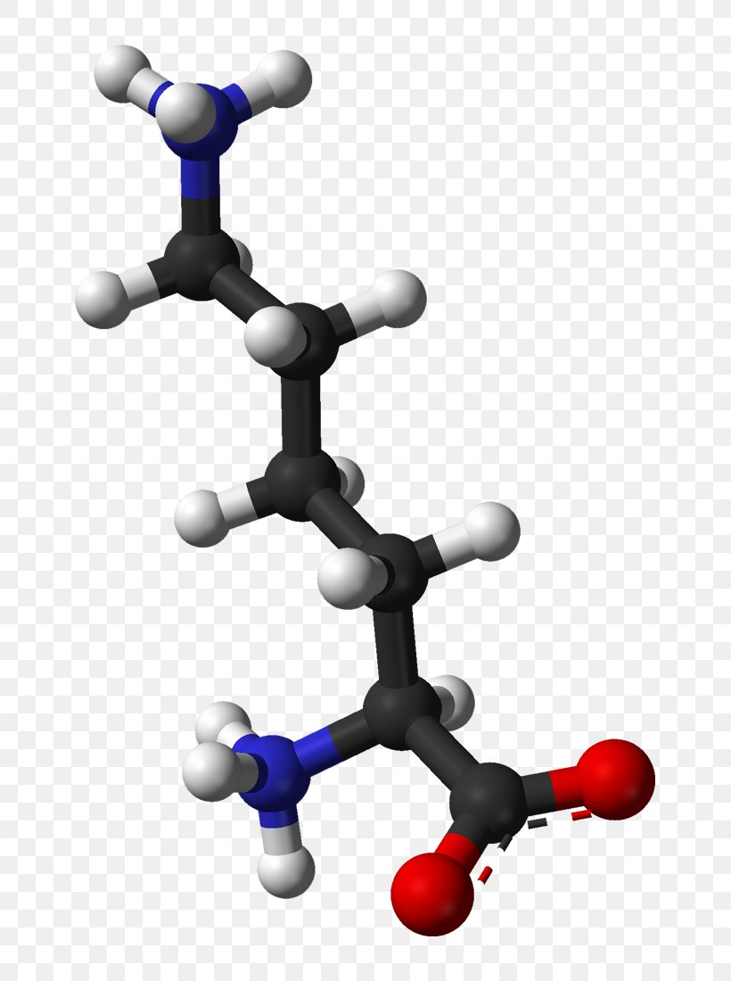 Lysine Essential Amino Acid Genetic Code Protein, PNG, 751x1100px, Lysine, Acid, Amine, Amino Acid, Arginine Download Free