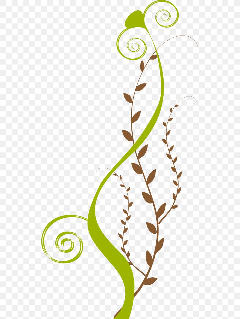 Stolon Plant Stem Ipeľ Leaf Clip Art, PNG, 537x1088px, Stolon, Area, Artwork, Branch, Flora Download Free