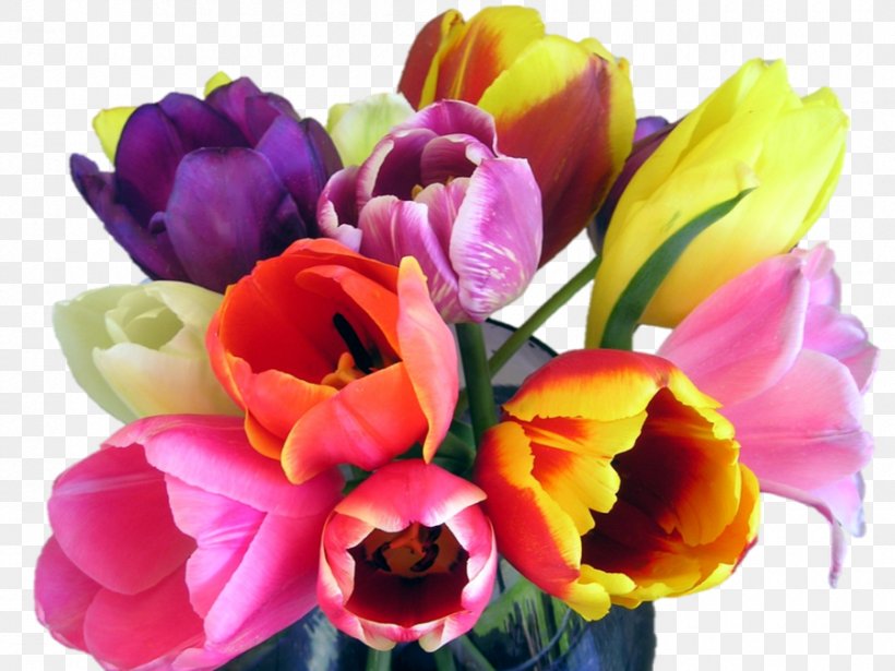 Tulip Floral Design Cut Flowers Flower Bouquet, PNG, 900x675px, Tulip, Annual Plant, Cut Flowers, Floral Design, Floristry Download Free