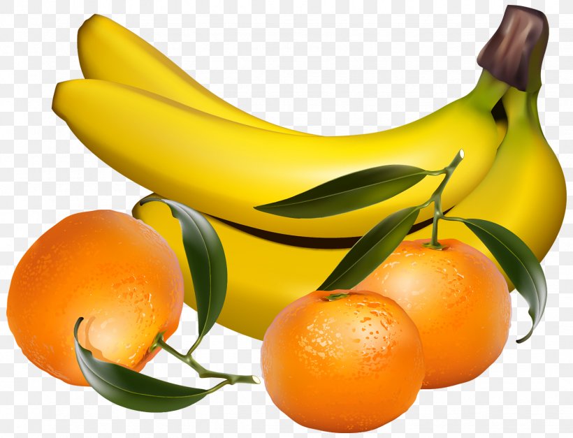 Banana Orange Tangerine Clip Art, PNG, 1534x1174px, Banana, Apple, Apricot, Banana Family, Banana Leaf Download Free