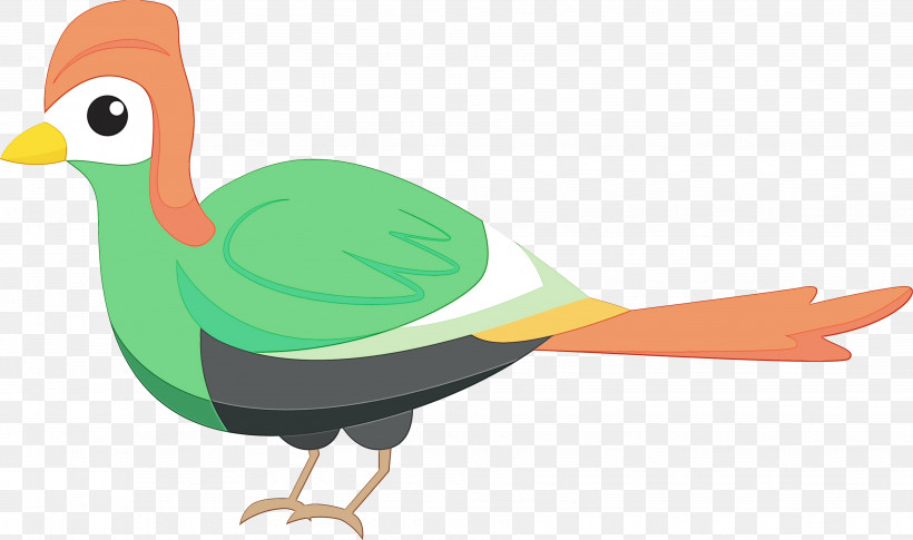 だいちのこどもえん Duck Chicken Education Curriculum, PNG, 3669x2172px, Bird, Beak, Cartoon, Cartoon Bird, Chicken Download Free
