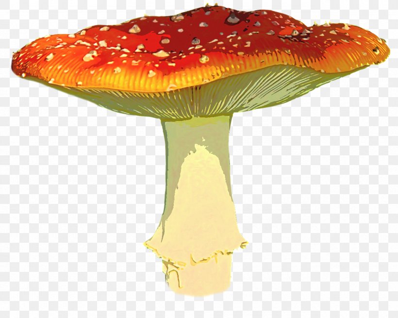 Fly Agaric Image Clip Art Stock.xchng, PNG, 1280x1023px, Fly Agaric, Agaric, Amanita, Fungus, Medicinal Mushroom Download Free