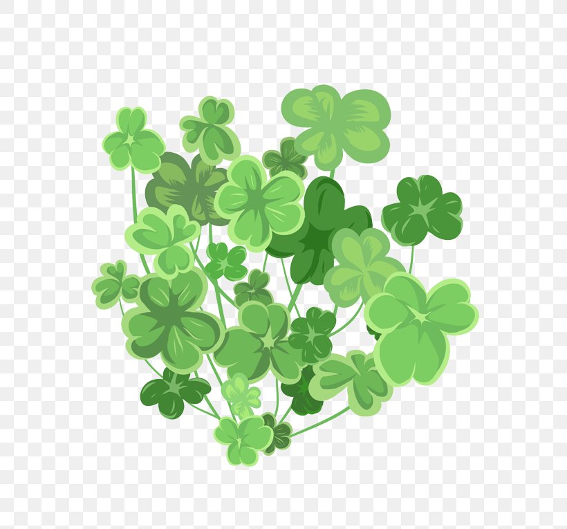 Leaf, PNG, 567x765px, Leaf, Grass, Plant, Shamrock, Symbol Download Free