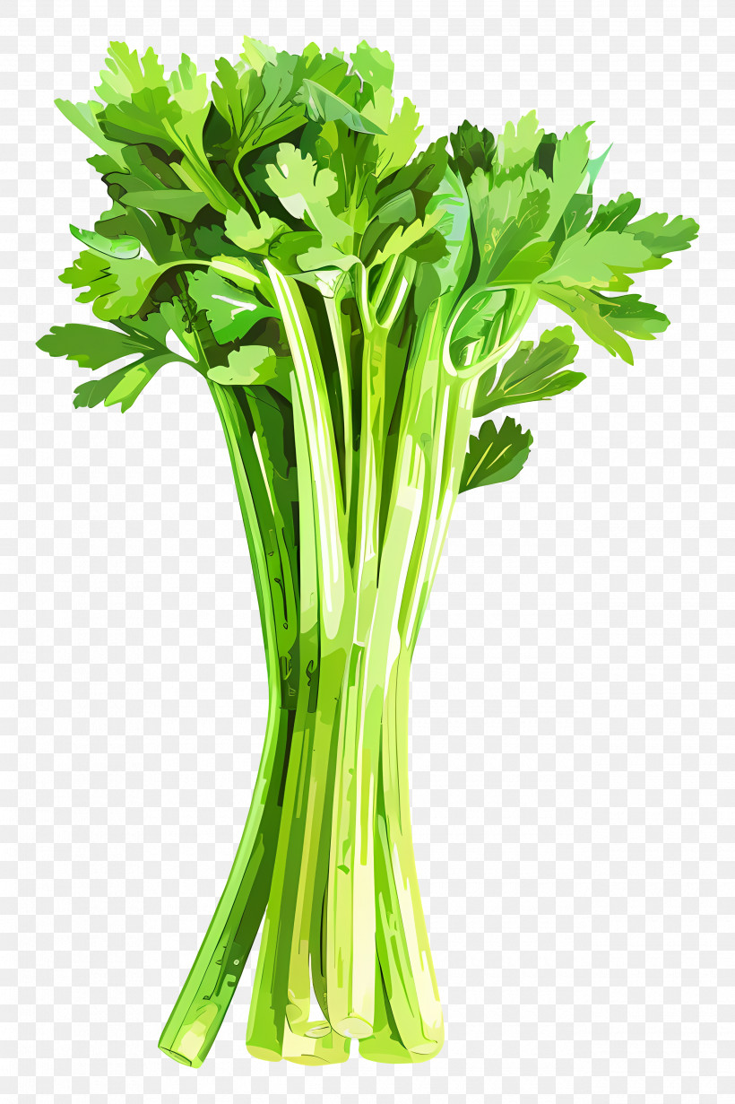 Celery - Fresh Celery Stalks Illustration, PNG, 2580x3876px, Celery ...