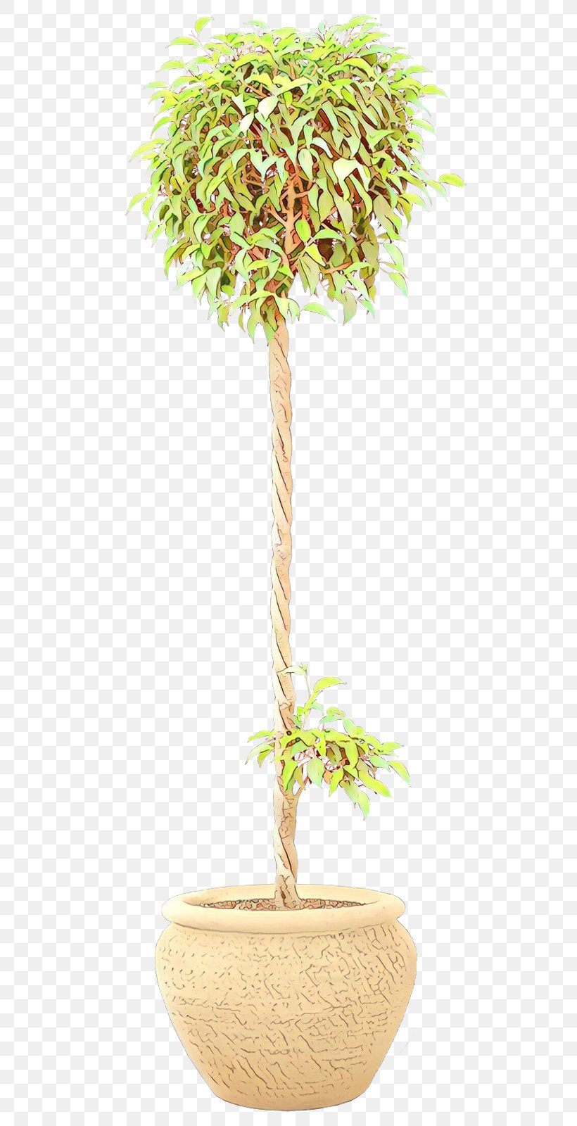 Flowerpot Tree Houseplant Plant Stem Plants, PNG, 585x1600px, Flowerpot, Cut Flowers, Flower, Flowering Plant, Houseplant Download Free