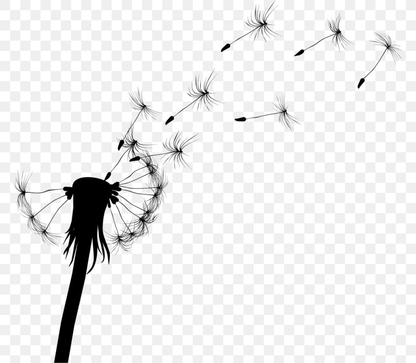 Common Dandelion Drawing Silhouette, PNG, 768x715px, Common Dandelion, Art, Black And White, Branch, Dandelion Download Free