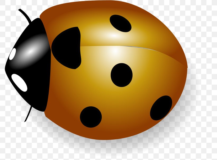 Ladybird Coccinella Clip Art, PNG, 800x605px, Ladybird, Beetle, Coccinella, Coccinelle, Insect Download Free