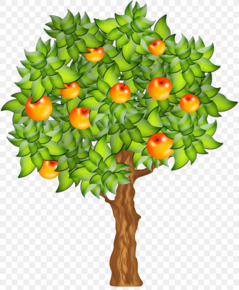 Fruit Tree Fruit Tree Clip Art, PNG, 1516x1842px, Fruit, Apple, Arecaceae, Branch, Flower Download Free