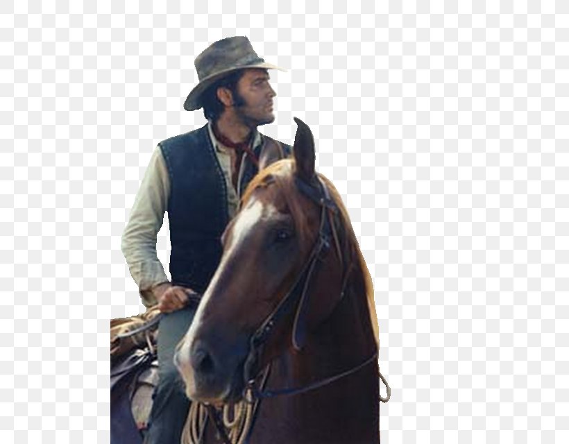Graceland Western Television Film, PNG, 501x640px, Graceland, Bridle, Charro, Cowboy, Elvis Presley Download Free
