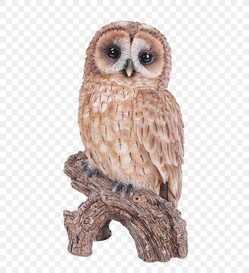Owl Bird Bird Of Prey Animal Figure Barn Owl, PNG, 527x900px, Owl, Animal Figure, Barn Owl, Bird, Bird Of Prey Download Free