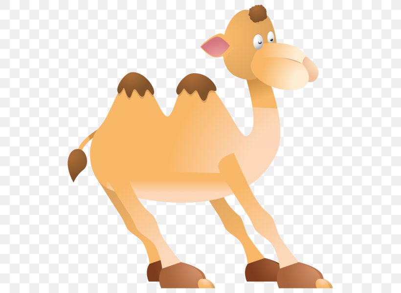 Pre-school Worksheet Clip Art, PNG, 600x600px, Preschool, Animal Figure, Arabian Camel, Beak, Camel Download Free