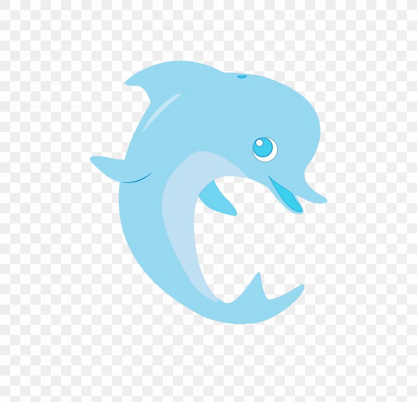 Fish Cartoon, PNG, 3000x2900px, Dolphin, Aqua, Beak, Biology, Bottlenose Dolphin Download Free