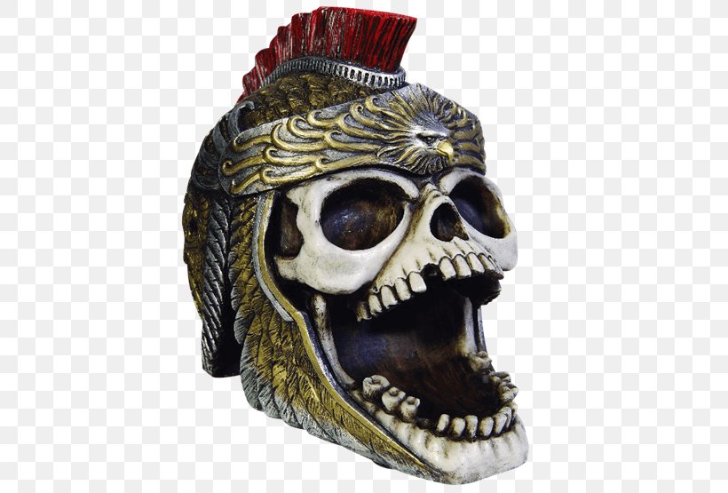 Golden Eagle Skull Aquila Human Skeleton, PNG, 555x555px, Eagle, Animal, Aquila, Ashtray, Bird Of Prey Download Free