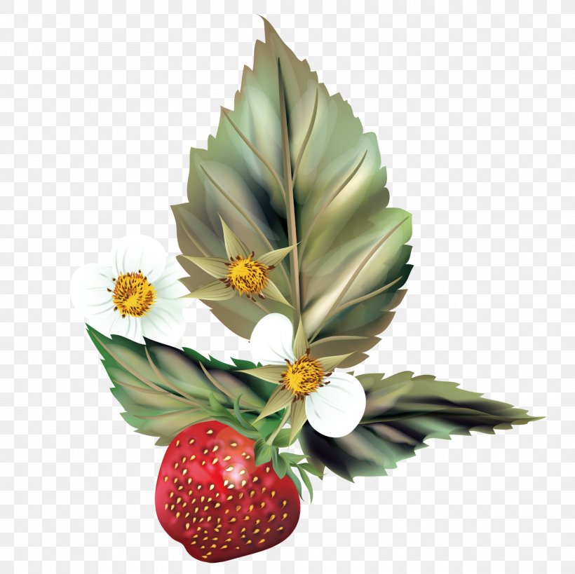 Strawberry Tree Photography, PNG, 1600x1600px, Strawberry, Aedmaasikas, Banco De Imagens, Berry, Floral Design Download Free