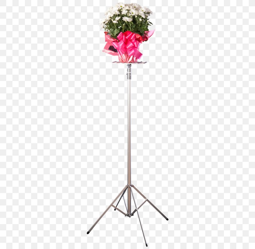 Cut Flowers Floral Design Floristry, PNG, 800x800px, Flower, Cut Flowers, Display Stand, Floral Design, Floristry Download Free