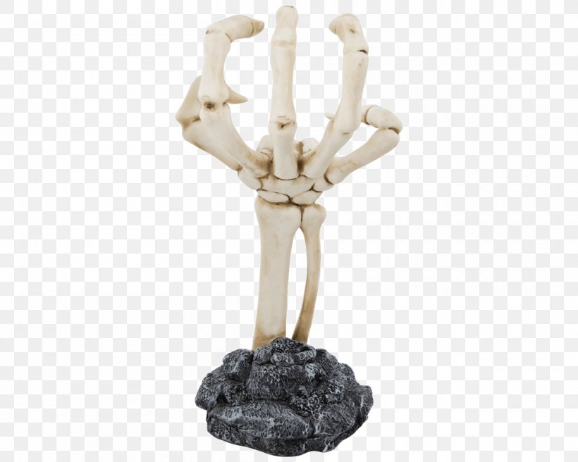 Human Skeleton Human Body Human Anatomy Pomade, PNG, 1000x800px, Human Skeleton, Anatomy, Barber, Bone, Figurine Download Free