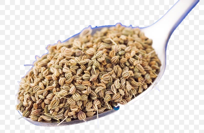 Ajwain Oat Fennel Seed Cereal Germ, PNG, 800x533px, Ajwain, Aegopodium Podagraria, Cereal, Cereal Germ, Commodity Download Free