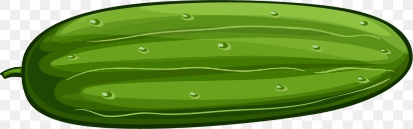 Cucumber Bitter Melon Cartoon, PNG, 1093x343px, Cucumber, Bitter Melon, Cartoon, Designer, Food Download Free