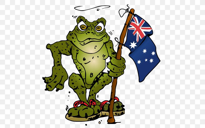 Cane Toads In Australia Clip Art Frog, PNG, 486x515px, Toad, African Bullfrog, American Bullfrog, Amphibian, Artwork Download Free