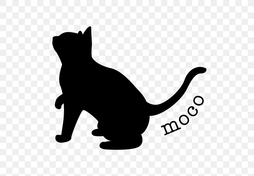 Cat Dog Kitten Pet Lighting, PNG, 567x567px, Cat, Animal Loss, Black, Black And White, Black Cat Download Free