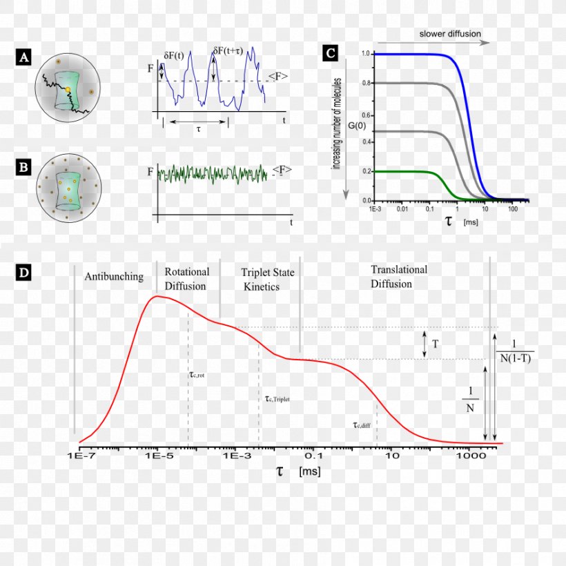 Fluorescence Correlation Spectroscopy Triplet State Autocorrelation, PNG, 886x886px, Triplet State, Area, Autocorrelation, Chemical Kinetics, Concentration Download Free