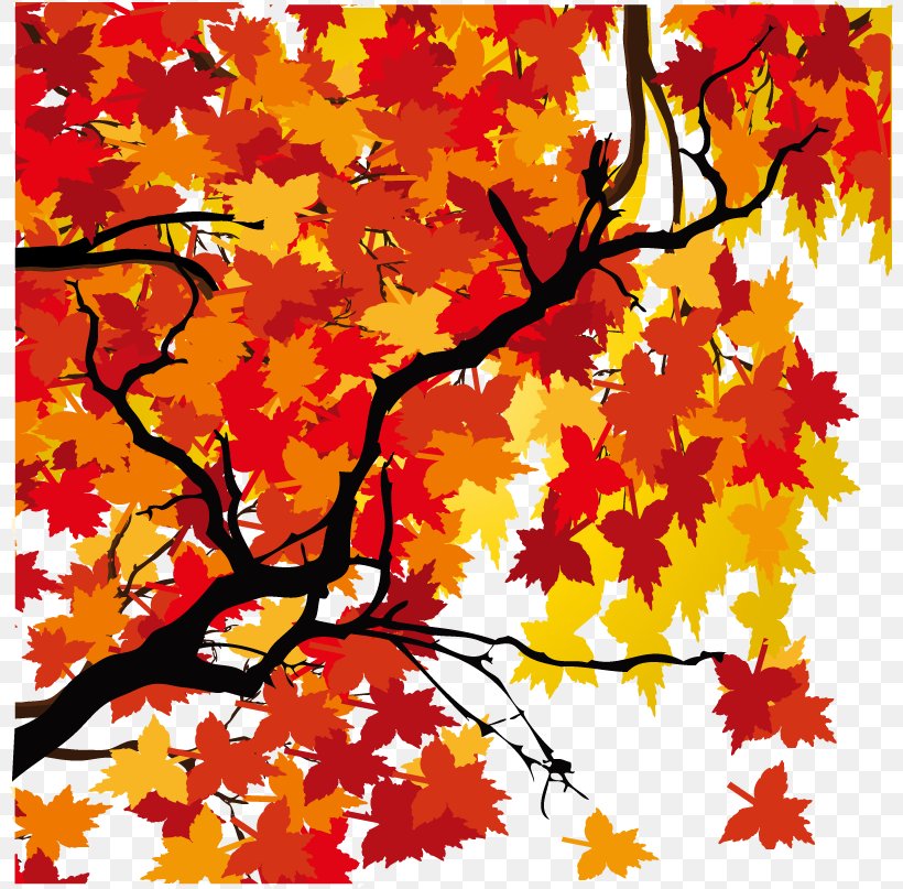 Maple Leaf Autumn, PNG, 803x807px, Maple Leaf, Art, Autumn, Branch, Deciduous Download Free