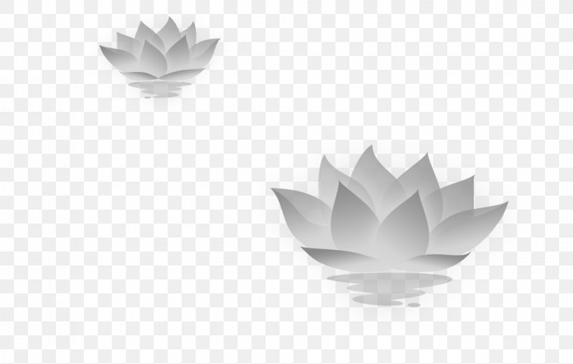 Nelumbo Nucifera Icon, PNG, 970x617px, Black And White, Computer, Monochrome, Monochrome Photography, Pattern Download Free