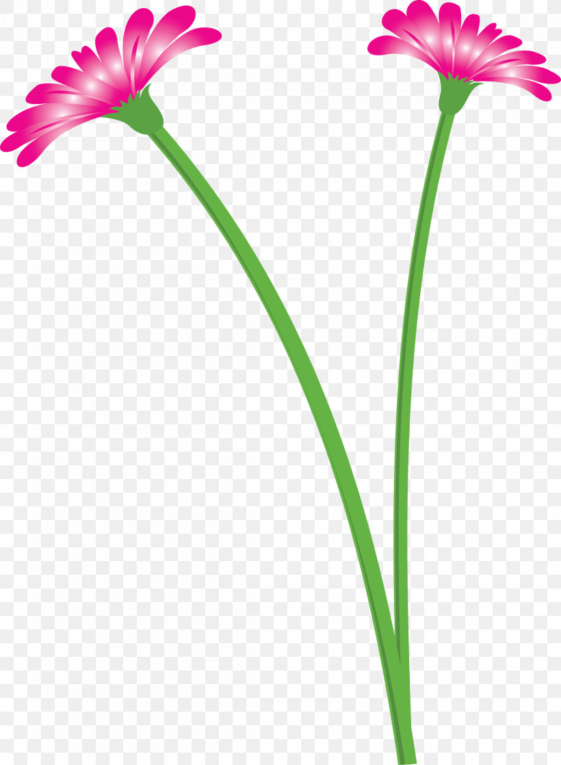 Dandelion Flower, PNG, 2199x3000px, Dandelion Flower, Annual Plant, Biology, Cut Flowers, Flora Download Free
