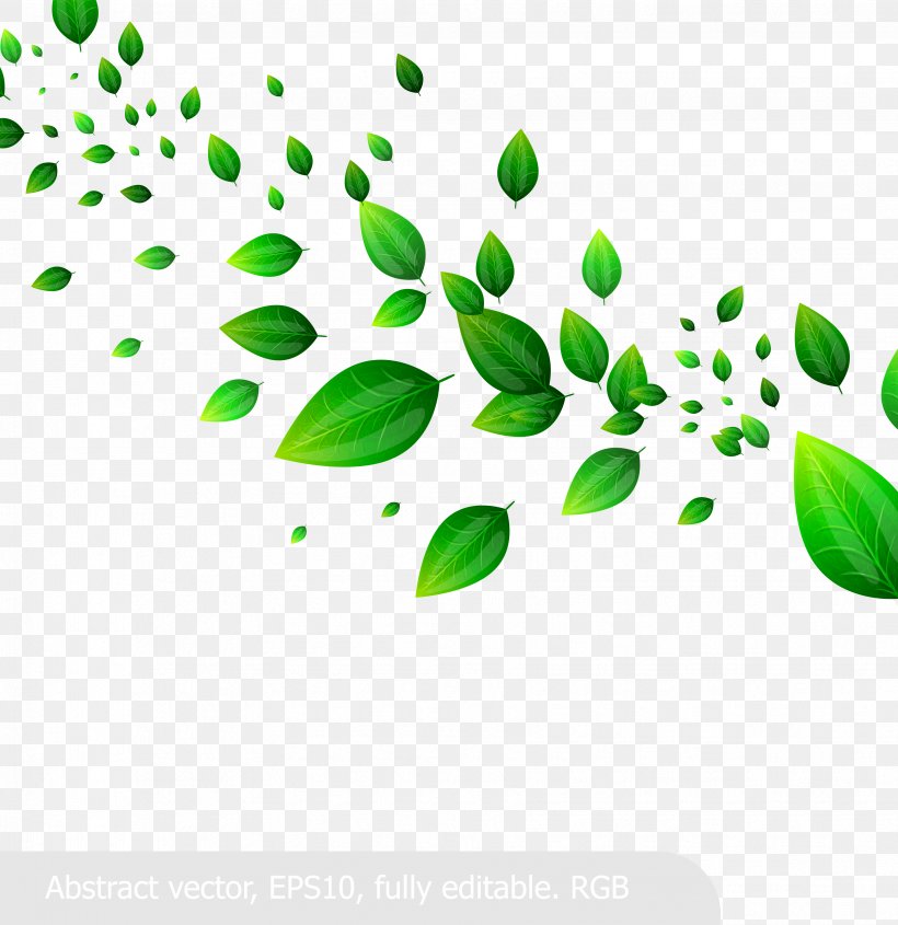 Leaf Clip Art, PNG, 3518x3629px, Leaf, Branch, Color, Dynamics, Flora Download Free