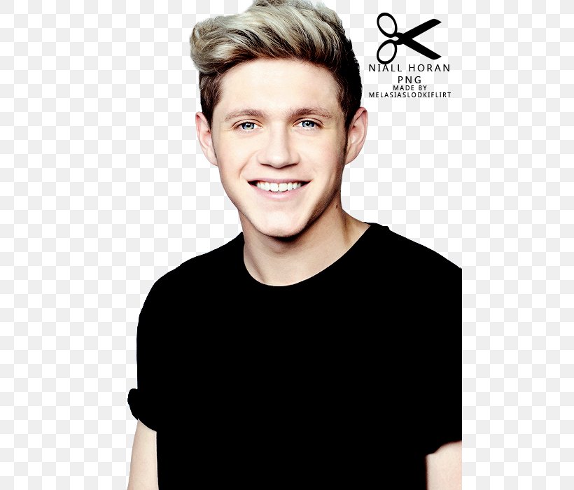 Niall Horan On The Road Again Tour Mullingar One Direction One Way Or Another, PNG, 500x700px, Watercolor, Cartoon, Flower, Frame, Heart Download Free