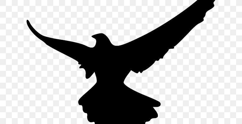 Silhouette Bird Falcon Clip Art, PNG, 640x420px, Silhouette, Arm, Beak, Bird, Bird Of Prey Download Free