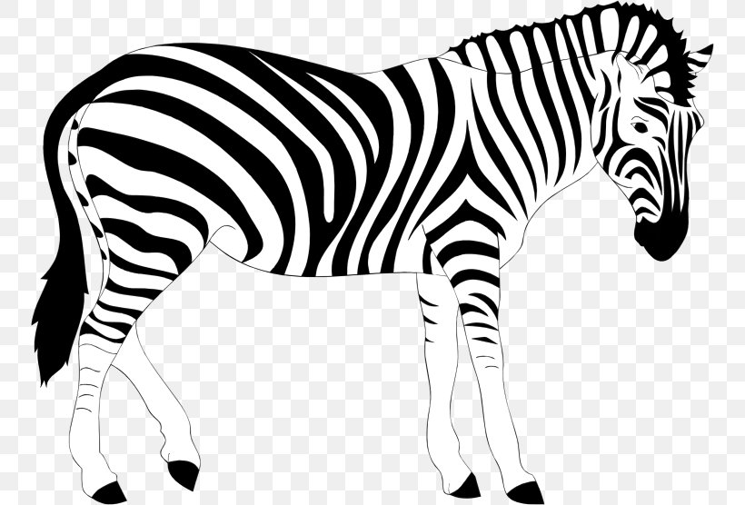 Zebra Clip Art, PNG, 752x556px, Zebra, Animal Figure, Big Cats, Black, Black And White Download Free