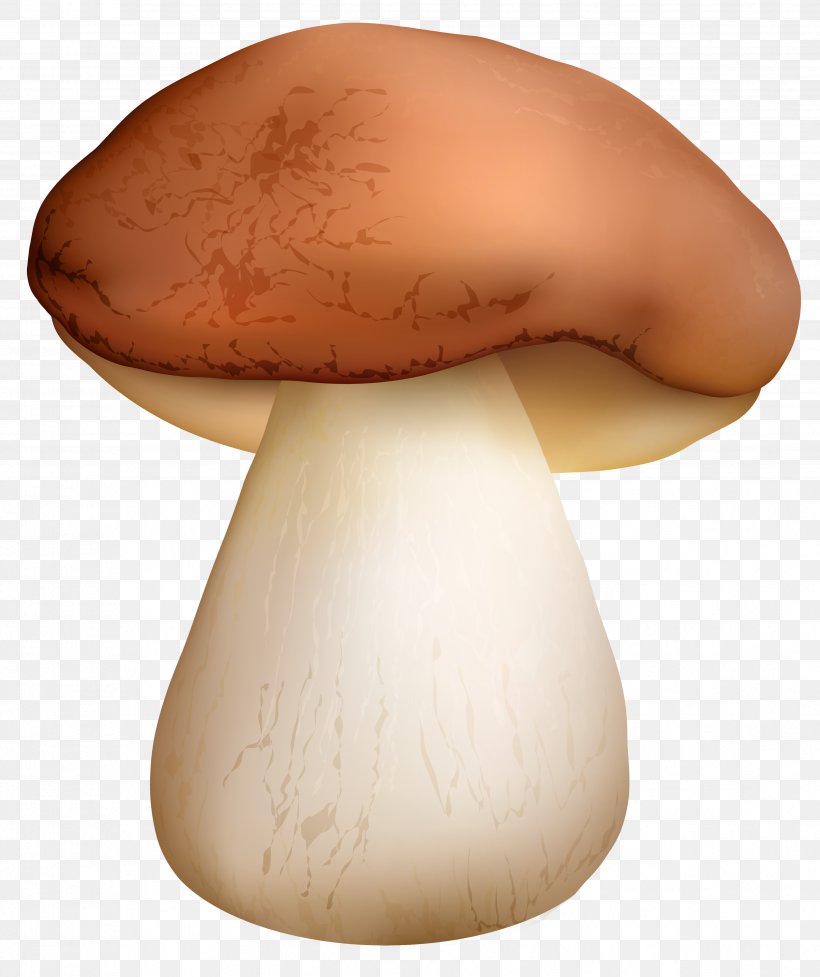 Boletus Edulis Edible Mushroom Clip Art, PNG, 3463x4127px, Boletus Edulis, Agaricaceae, Agaricomycetes, Agaricus, Amanita Muscaria Download Free