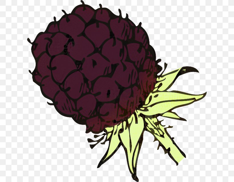 Clip Art BlackBerry Vector Graphics, PNG, 629x640px, Blackberry, Artichoke, Blackberry Limited, Blackberry Stew, Chrysanths Download Free