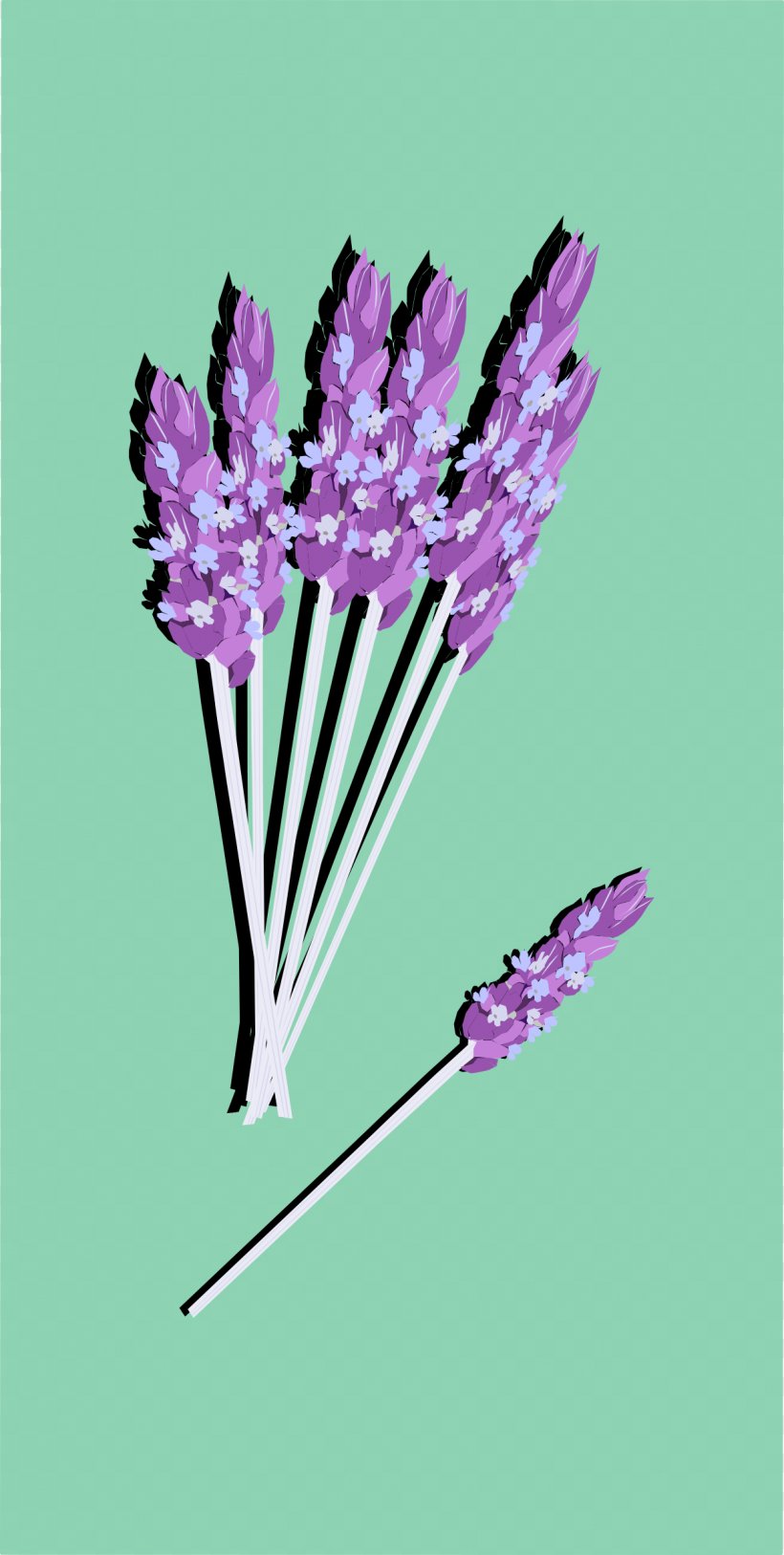 English Lavender, PNG, 1210x2400px, English Lavender, Flower, Flowering Plant, Lavender, Odor Download Free