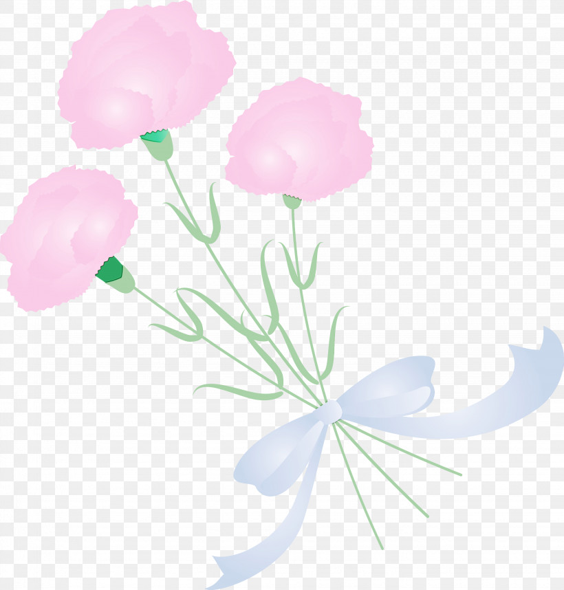 Flower Pink Petal Plant Plant Stem, PNG, 2867x3000px, Mothers Day Carnation, Cut Flowers, Flower, Mothers Day Flower, Paint Download Free