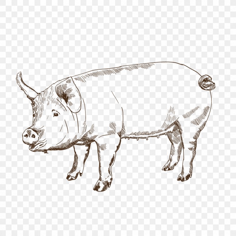 Pig Cattle Ox Bull Snout, PNG, 1000x1000px, Pig, Animal Figure, Black And White, Bull, Cattle Download Free