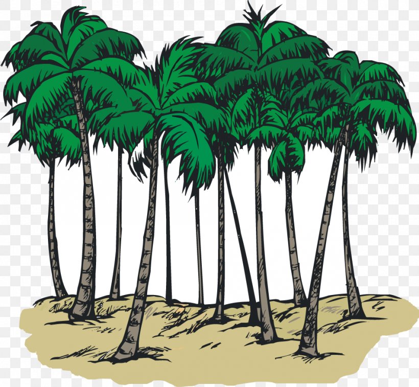 South Carolina Sabal Palm Arecaceae Coloring Book Clip Art, PNG, 951x879px, South Carolina, Arecaceae, Arecales, Beach, Borassus Flabellifer Download Free