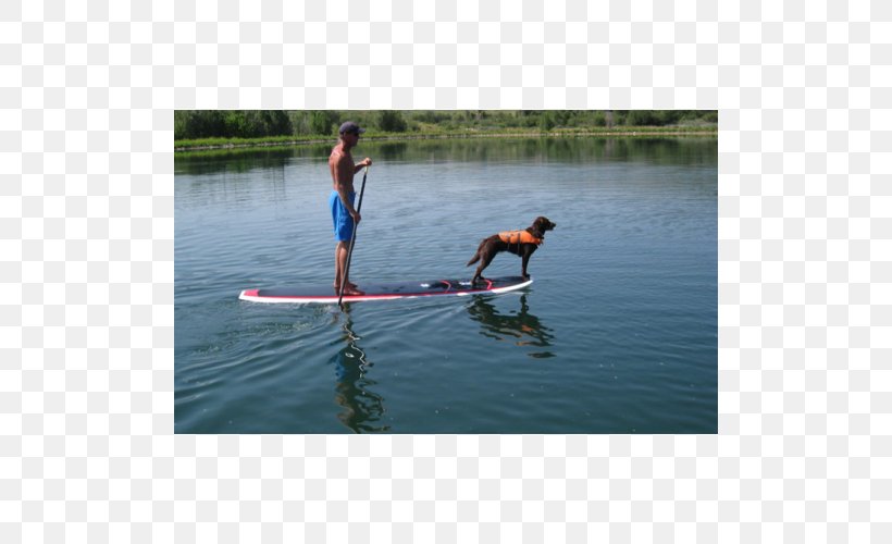 Standup Paddleboarding Paddle Board Yoga Surfing, PNG, 500x500px, Standup Paddleboarding, Boardsport, Boat, Boating, Canoe Sprint Download Free