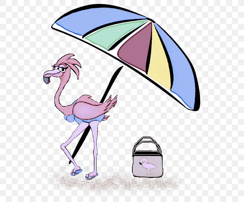 Flamingo, PNG, 669x680px, Cartoon, Bird, Cranelike Bird, Flamingo, Stork Download Free