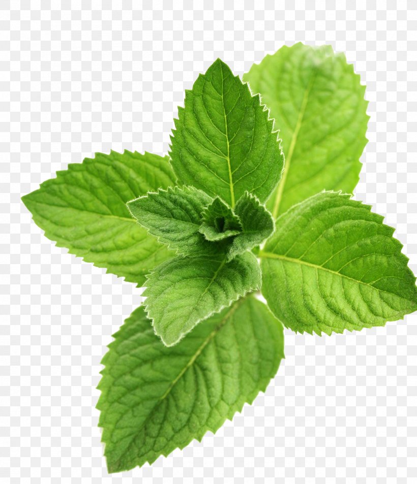 Juice Peppermint Flavor Menthol, PNG, 1355x1575px, Juice, Drink, Essential Oil, Extract, Flavor Download Free